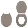 Image de WIRQUIN - Abattant colors line taupe mat