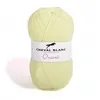 Image de Fil à tricoter ORIENT - Cheval Blanc(...) - 166 Anis