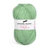 Image de Laine à tricoter BABYLUX de Cheval Blanc(...) - Vert (079 - VERT D EAU)