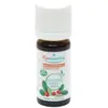 Image de Puressentiel Gaulthérie Bio Huile Essentielle 10 ml