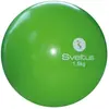 Image de Sveltus, Ballon de gymnastique