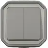 Image de Legrand Double interrupteur à levier, Bouton + interrupteur, Gris