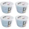 Image de Pyrex Moul/gratin a/c blee 1.6l, Plat à gratin, Blanc