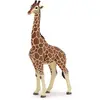Image de Papo Girafe mâle