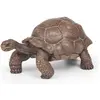 Image de Papo Tortue géante des Galápagos
