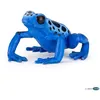 Image de Figurine Grenouille Equatoriale Bleue Papo