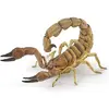 Image de Papo Scorpion