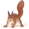 Image de Papo Eichhörnchen