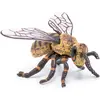 Image de Papo Bee