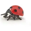 Image de Papo coccinelles