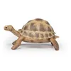 Image de Figurine Papo Tortue d'Hermann