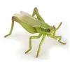 Image de Figurine Papo Sauterelle