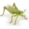 Image de Papo Criquet pèlerin