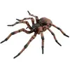 Image de Papo Araignée commune