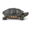 Image de Figurine Tortue de Floride