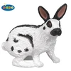 Image de Lapin papillon
