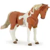 Image de Papo Pinto Mare