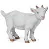 Image de Figurine Papo Chevreau Blanc