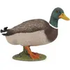 Image de Papo Canard colvert
