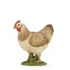 Image de PAPO POULE