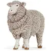 Image de Papo Mouton mérinos