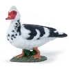 Image de Figurine Canard de Barbarie Papo
