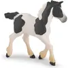 Image de Papo Cob poulain noir