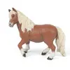 Image de Poney Shetland