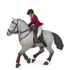 Image de 51563 Cheval de concours et sa cavaliere