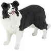 Image de Papo border collie