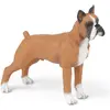Image de Papo Boxer