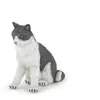 Image de Chatte assise