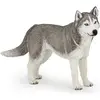 Image de Papo Husky sibérien