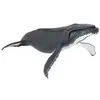 Image de Figurine baleine à bosse Papo