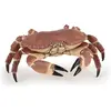 Image de Papo Crabe