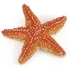 Image de Papo Étoile de mer