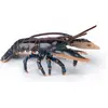 Image de Papo Homard