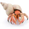 Image de Papo Bernard l'ermite