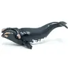 Image de Papo Baleine franche