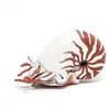 Image de Figurine Papo Nautile
