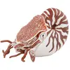 Image de Papo Nautilus