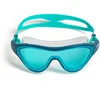 Image de Arena Masque De Natation The One One Size
