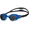 Image de Arena Lunettes De Natation Polarisées The One Plus One Size