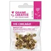 Image de 20 vis Chicago dorées - attaches cuir 10 mm x Ø 9,5 mm