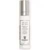 Image de Sisley All Day All Year - Crème De Jour Anti-ge