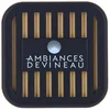 Image de Diffuseur Voiture Devineau Vanille