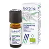 Image de Ladrôme Huile Essentielle Eucalyptus Radié (Eucalyptus radiata) Bio 10 ml