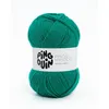 Image de Fil spécial chaussette à tricoter PINGO MYSOCKS - Pingouin(...) - Vert