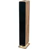 Image de Thomson Bluetooth Lautsprecherturm 120 W, Enceinte Bluetooth, Noir