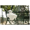 Image de Doudou mouchoir Chao Chao
